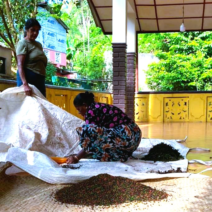 Twenty-Arms-Women-Working.jpg